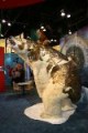 /plume/xmedia/fantasy/news/alcdm/thumb/GoldanCompassBear_thumb.jpg