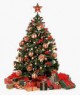 /plume/xmedia/fantasy/news/parutions/thumb/christmas_tree-11414_thumb.jpg