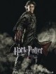 /plume/xmedia/fantasy/news/potter/thumb/banniere_harry_thumb.jpg