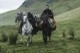 /plume/xmedia/fantasy/news/television/TDF/saison5/thumb/s5e31_thumb.jpg