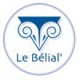 /plume/xmedia/fantasy/news/zapping/thumb/Logo_belial_thumb.jpg