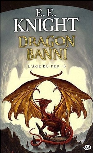 Chronique de Dragon banni