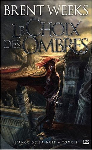 Le Choix des ombres