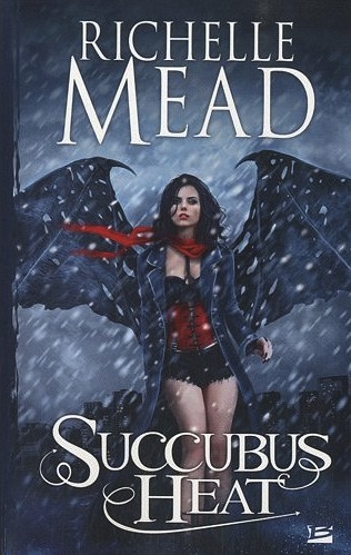 Chronique de Succubus heat