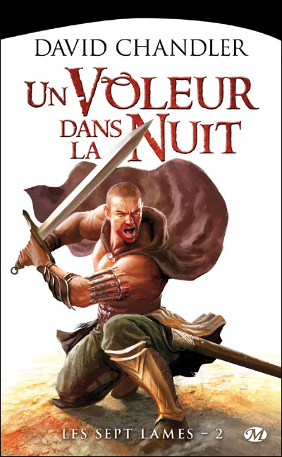 Chronique de Un voleur dans la nuit